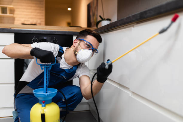 Best Flea Control Services  in San Ysidro, NM