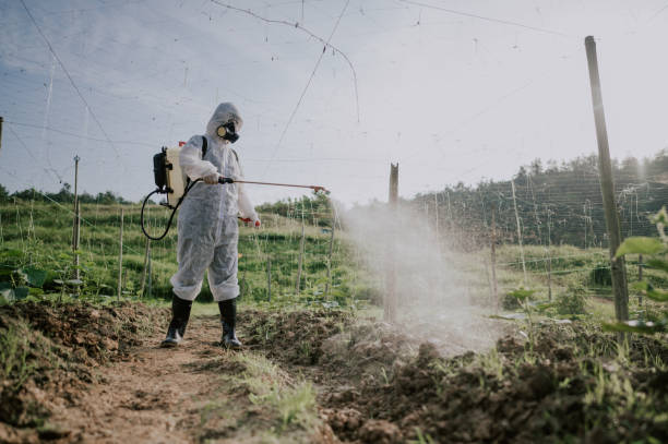 Best Mosquito Control Services  in San Ysidro, NM