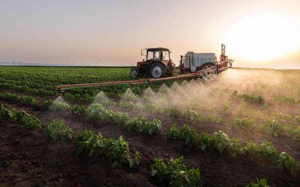Best Pest Prevention Services  in San Ysidro, NM