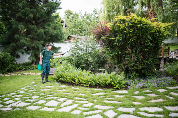 Best Affordable Pest Control Services  in San Ysidro, NM